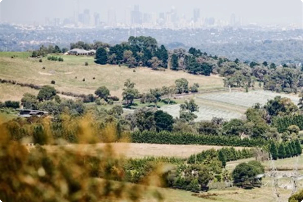 Taking pictures of penguin on rocks