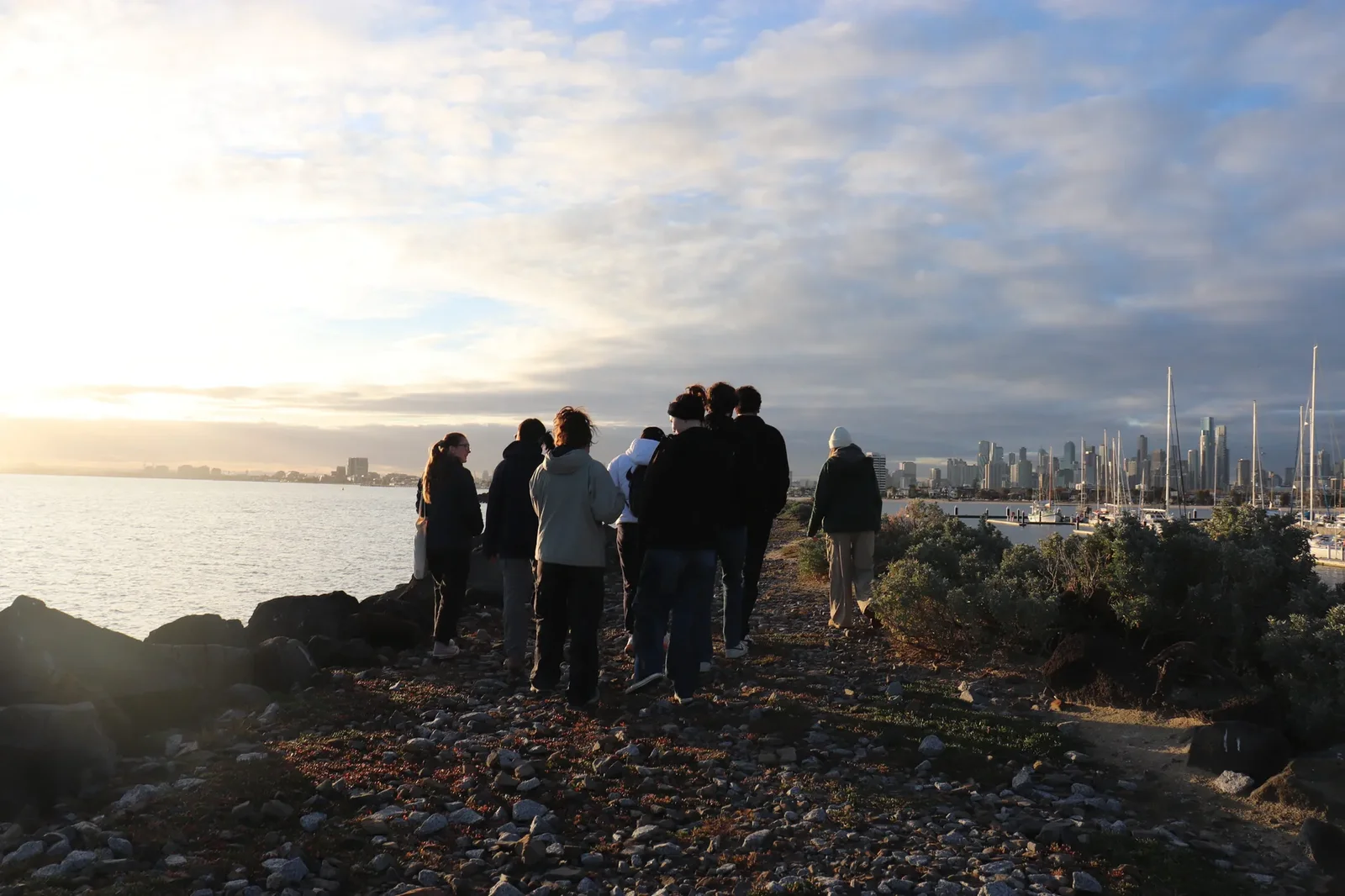 St Kilda Penguin Project