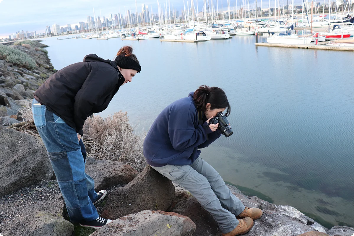 Taking pictures of penguin on rocks